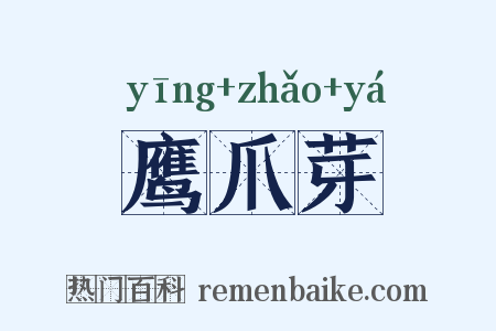 鹰爪芽是什么意思的图片
